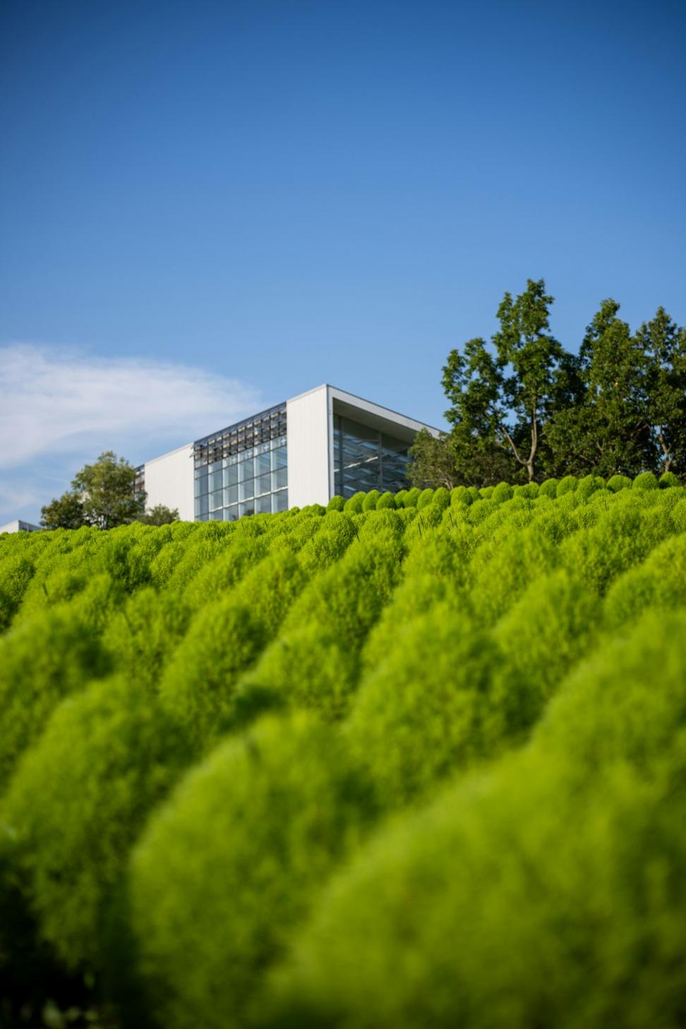 Green Office