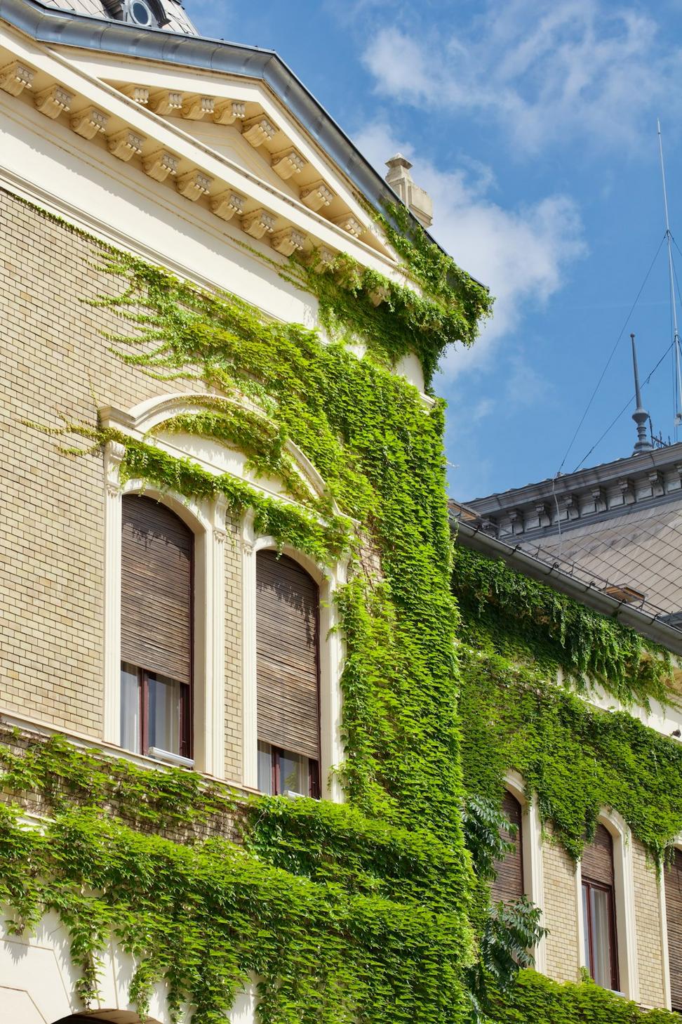 Heritage Renovation