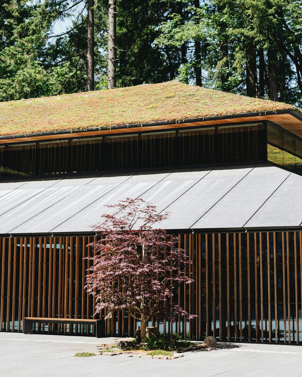 Green Roof House